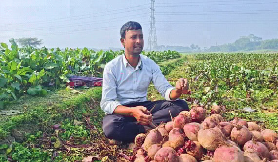 বিটরুট বিক্রির জন্য প্রস্তুত করছেন কৃষক জাহাঙ্গীর হোসেন। সম্প্রতি রাজশাহীর পবা উপজেলার নওহাটা পৌরসভার থালতা গ্রামে