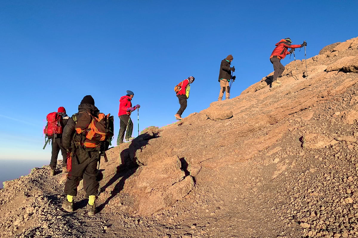 কিলিমানজারো শৃঙ্গের পথে অভিযাত্রীরা