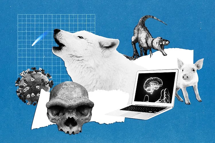 ২০২৫ সালে বিজ্ঞান দুনিয়াতে নানা আলোচিত ঘটনা ছিল প্রাণী, মহাকাশ আর কৃত্রিম বুদ্ধিমত্তা নিয়ে