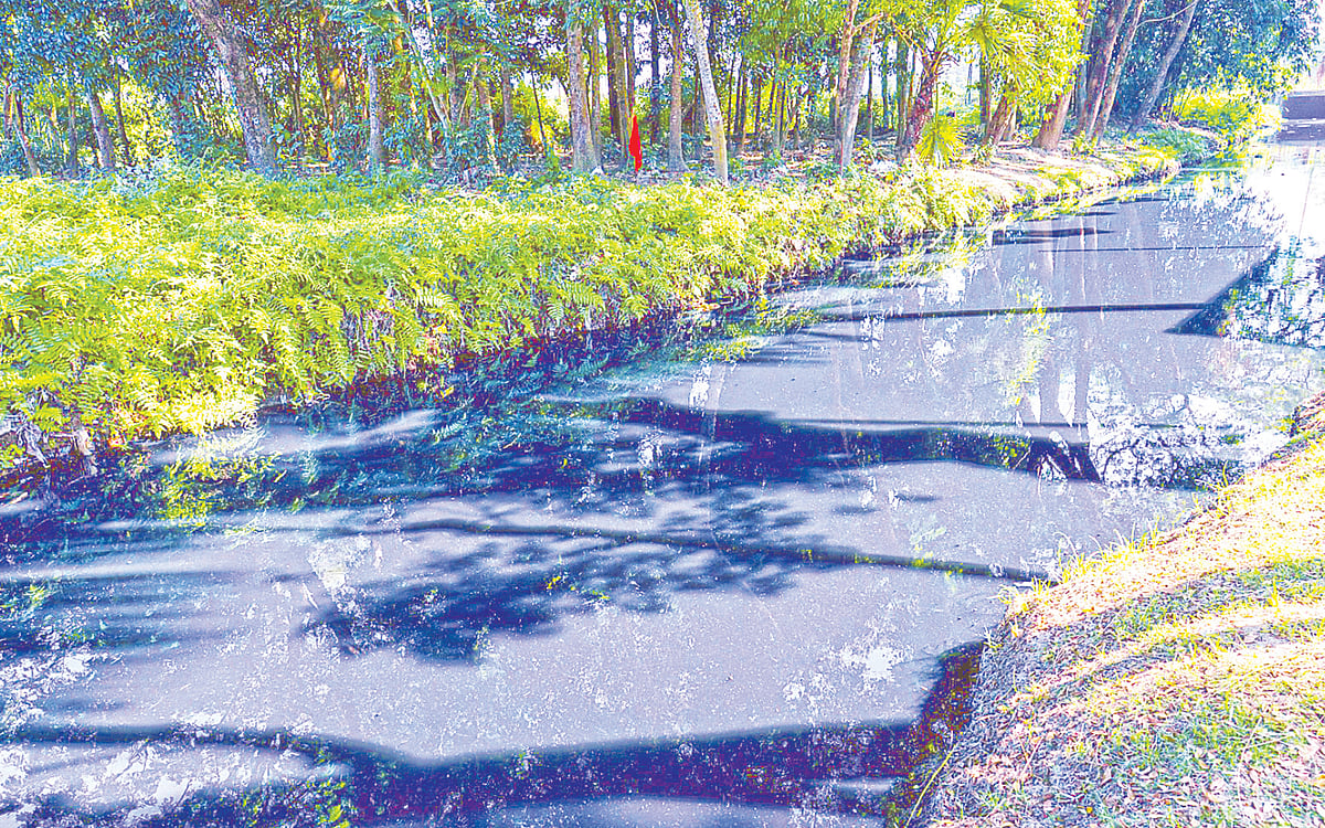 ভারতের ত্রিপুরা থেকে আসছে কলকারখানার বর্জ্য ও রাসায়নিক পদার্থ মিশ্রিত বিষাক্ত পানি। গত বৃহস্পতিবার ব্রাহ্মণবাড়িয়া আখাউড়া আন্তর্জাতিক ইমিগ্রেশন পুলিশ চেকপোস্ট-সংলগ্ন উত্তর পাশের খালে