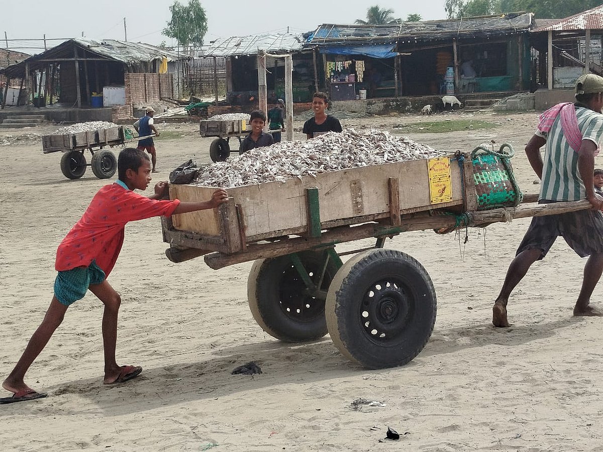 চট্টগ্রাম ও কক্সবাজারে জলবায়ু-বাস্তুচ্যুত পরিবারগুলোর শিশুরা মূলত দুটি খাতে বেশি নিয়োজিত—শুঁটকি প্রক্রিয়াজাতকরণ এবং ধাতব কারখানা বা মেটাল ফ্যাক্টরি সেক্টর।