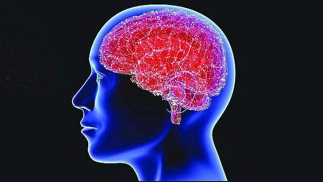 মানুষের পাঁচটি ইন্দ্রিয় রয়েছে