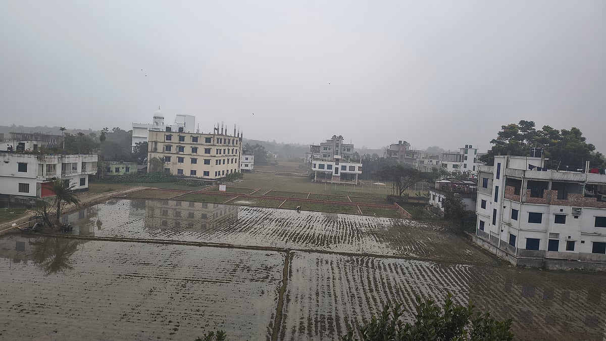 আজ বৃহস্পতিবার দেশের সর্বনিম্ন তাপমাত্রা যশোরে। সদর উপজেলার কিসমত নওয়াপাড়া এলাকা থেকে তোলা