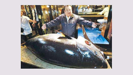 টুনা মাছ