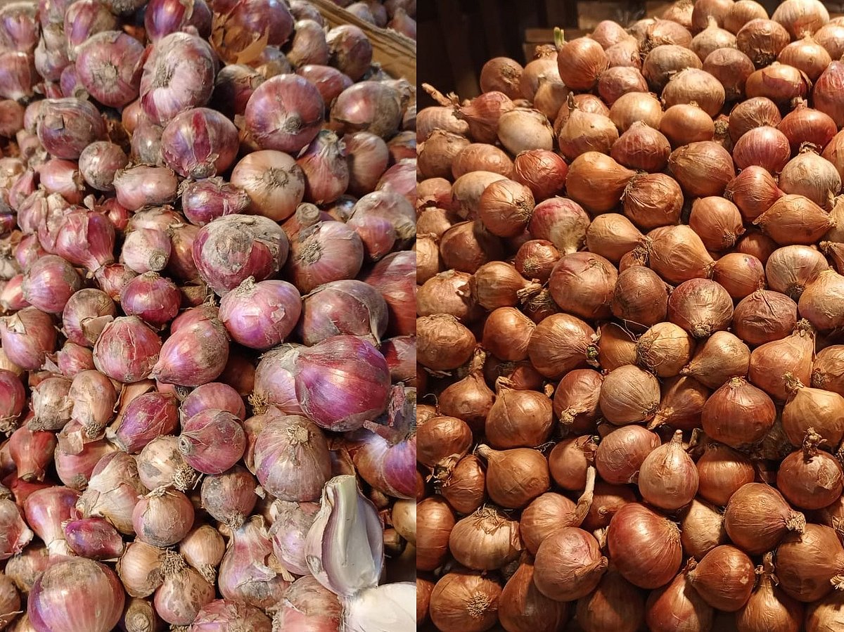 মুড়িকাটা ও হালি পেঁয়াজ