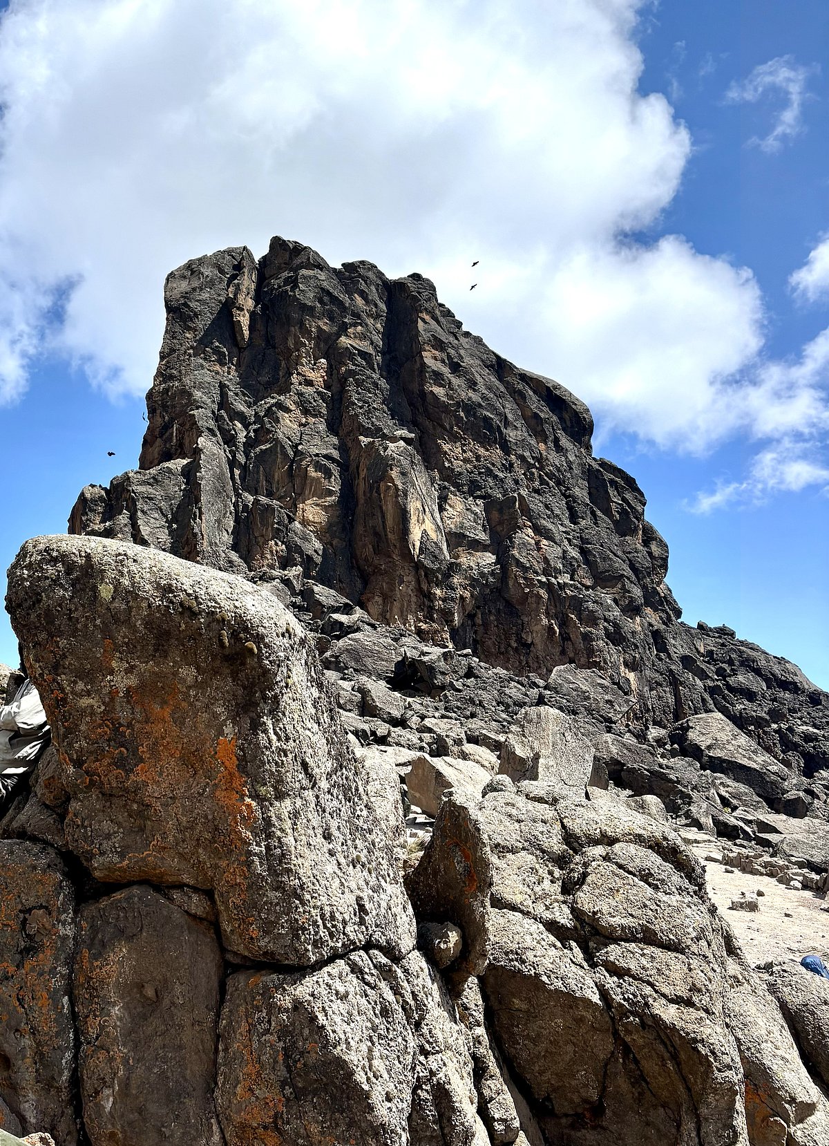 লাভা টাওয়ার