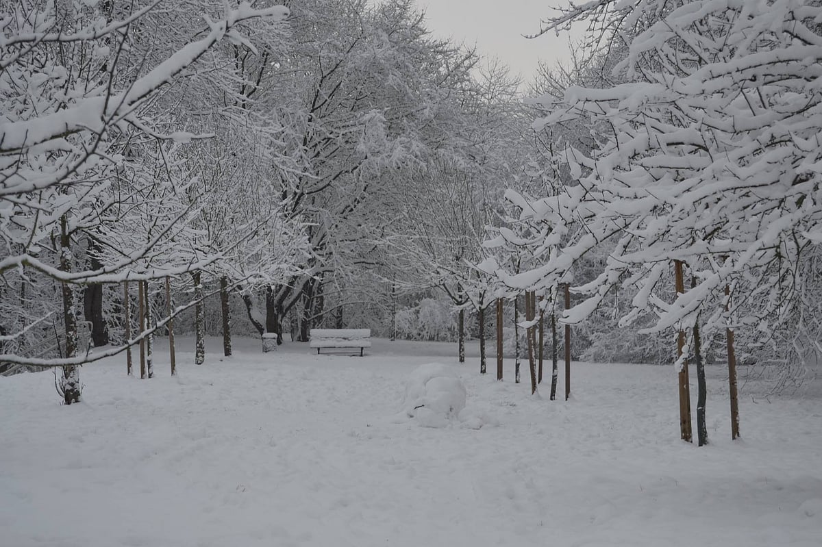 বরফে আচ্ছাদিত হ্যানোভার শহরের ভিলি স্পান পার্ক