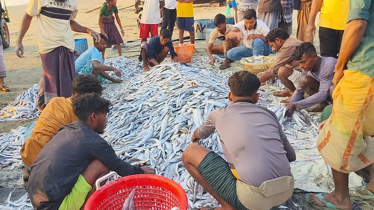 কক্সবাজারের টেকনাফে এক ব্যক্তির টানাজালে ধরা পড়েছে  ৮ লাখ টাকার ছুরি মাছ। গতকাল বিকেলে সৈকতের মহেশখালীয়া নৌঘাটে