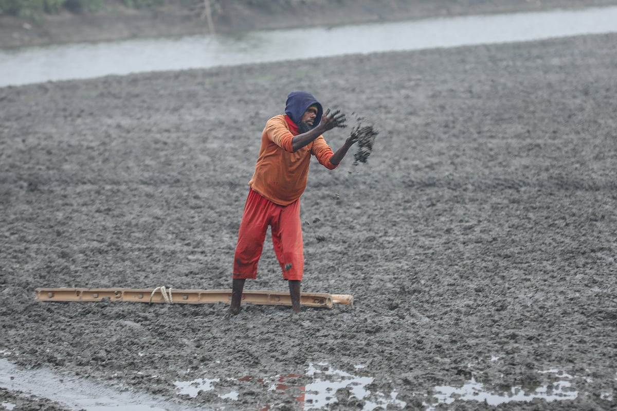 শীতের সকালে জমিতে কাজ করছেন এক কৃষক। লাইন বিল পাবলা, ডুমুরিয়া উপজেলা, খুলনা, ১১ জানুয়ারি