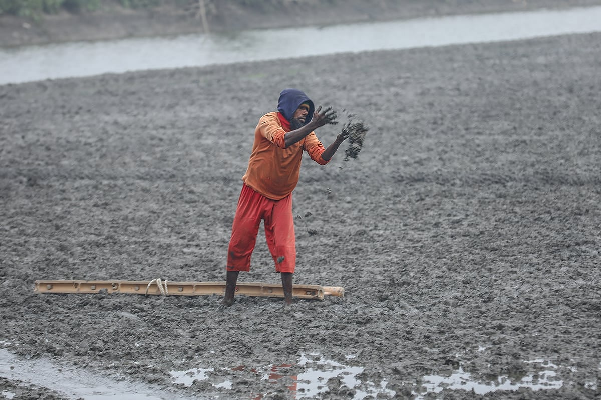 শীতের সকালে জমিতে কাজ করছেন এক কৃষক। লাইন বিল পাবলা, ডুমুরিয়া উপজেলা, খুলনা, ১১ জানুয়ারি