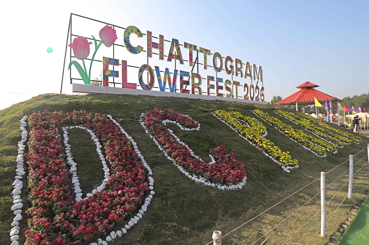 ডিসি পার্ক