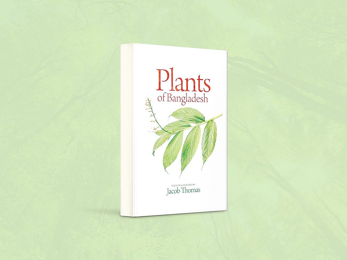 গ্রাফিকস: প্রথম আলো