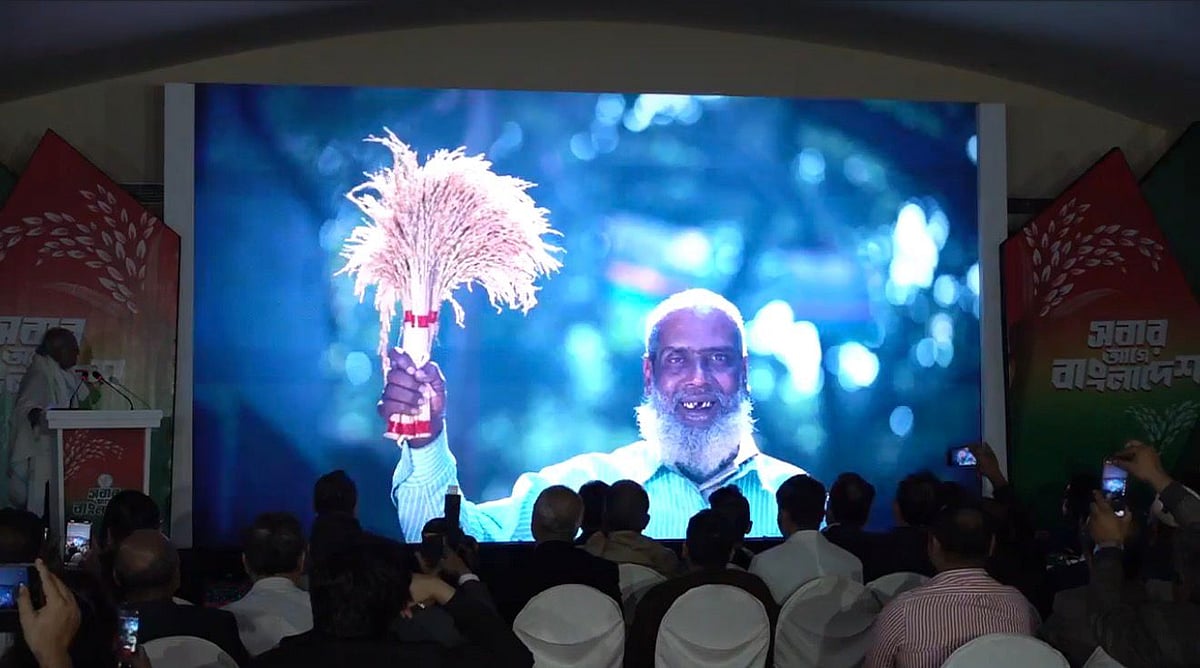 বিএনপির নির্বাচনী থিম সংয়ের ভিডিওতে এই চিত্র ব্যবহার করা হয়েছে। বুধবার দিবাগত রাত ১২টার পর রাজধানীর গুলশানের লেকশোর হোটেলে থিম সংয়ের উদ্বোধন হয়