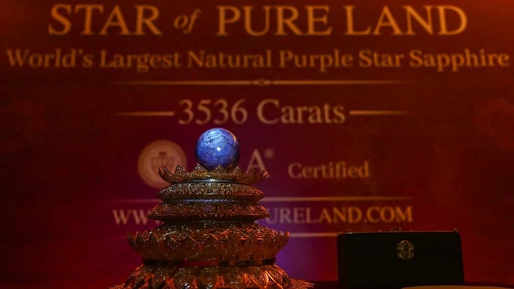 বিরল নীলকান্তমণি