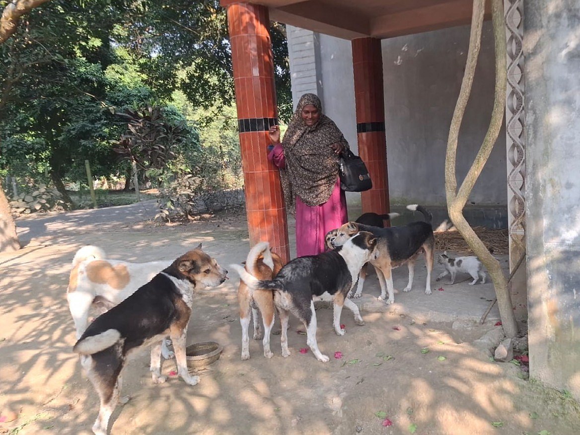 বাড়ির ফটকে আসতেই রওশন আরাকে ঘিরে ধরে কুকুর–বিড়ালগুলো। সম্প্রতি রাজশাহীর পুঠিয়া উপজেলার রঘুরামপুর গ্রামে