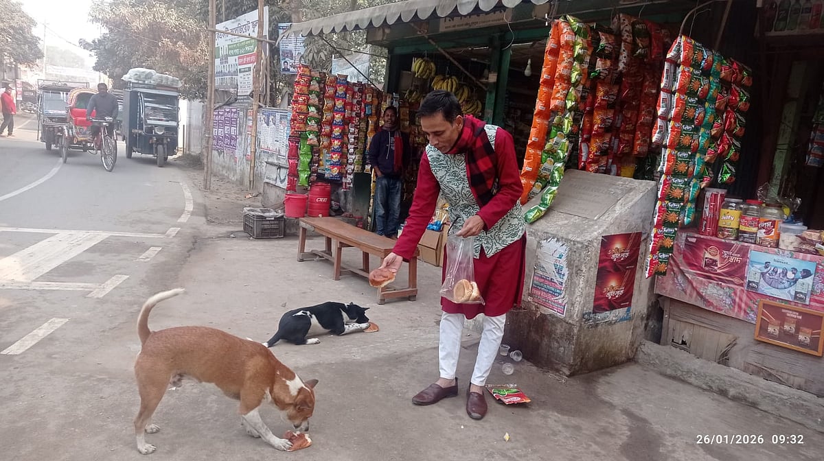 কয়েকটি পথকুকুরকে খাওয়াচ্ছেন অশোক কুমার রায়। সম্প্রতি চাঁদপুরের মতলব দক্ষিণ উপজেলার কলেজ গেট এলাকায়