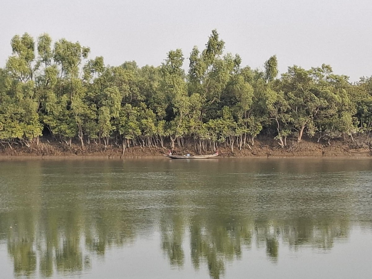 পশ্চিম সুন্দরবনের কলাগাছিয়া এলাকা