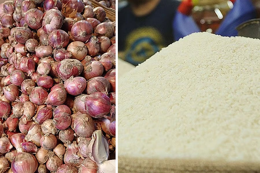 পেঁয়াজ ও চাল