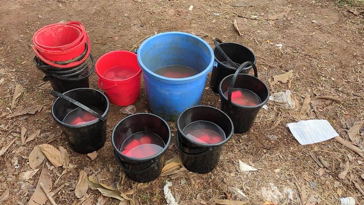 শরীয়তপুরের নড়িয়া উপজেলার মোক্তারের চর ইউনিয়নের পোড়াগাছা এলাকা থেকে ৯৫টি ককটেল উদ্ধার করেছে পুলিশ। আজ সোমবার সকালে নড়িয়া থানায়