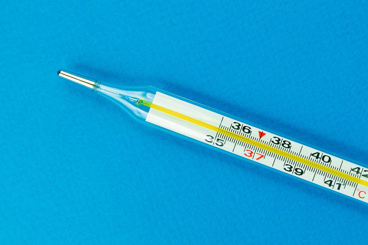 স্নেইল ফিভার কোনো সাধারণ জ্বর নয়; এটি একধরনের পরজীবী কৃমি (সিস্টোসোমা) দ্বারা সৃষ্ট