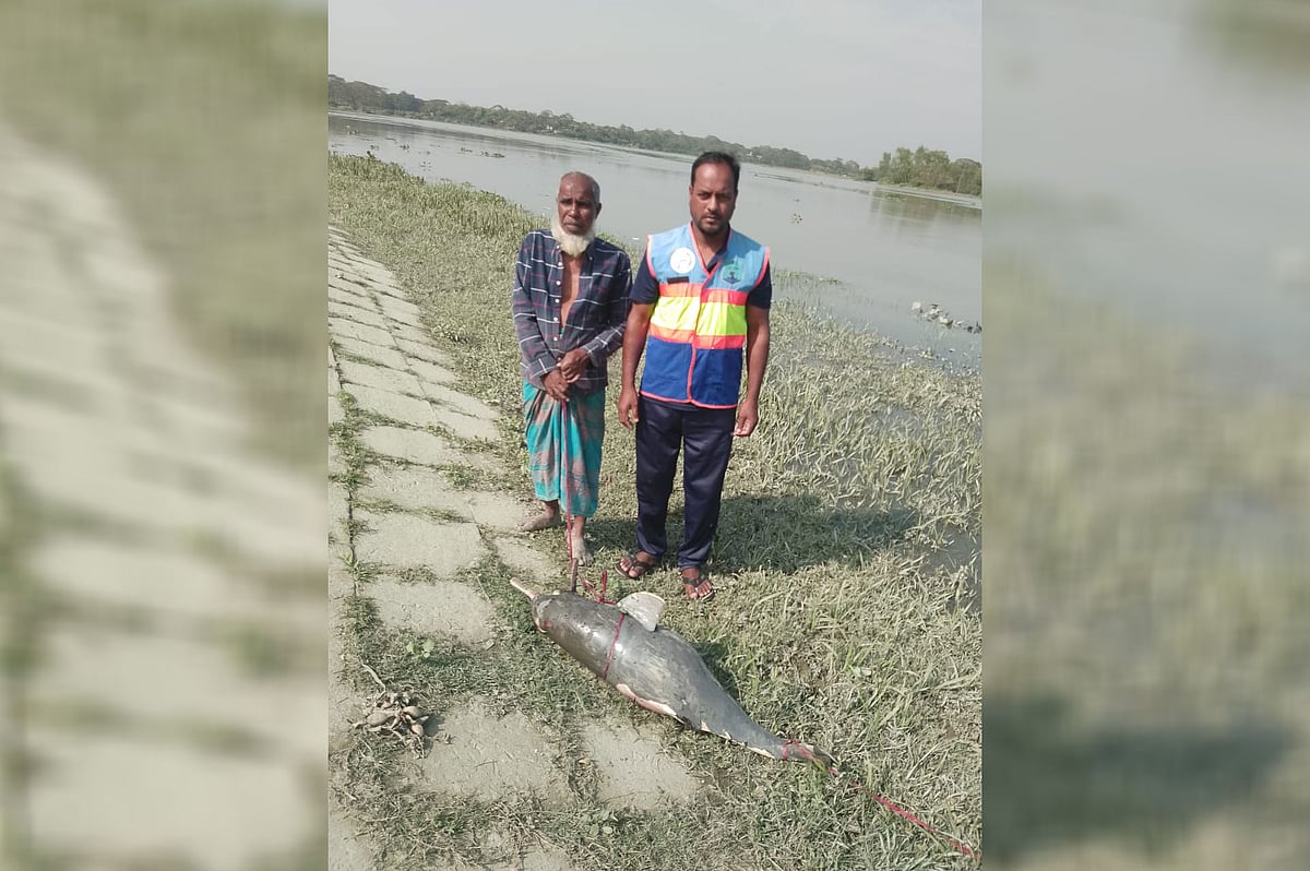 হালদা নদী থেকে উদ্ধার করা মৃত ডলফিন। আজ মঙ্গলবার দুপুরে চট্টগ্রামের হাটহাজারীর উত্তর মাদার্শা ইউনিয়নের রামদাস মুন্সিরহাট নদীর পাড়ে