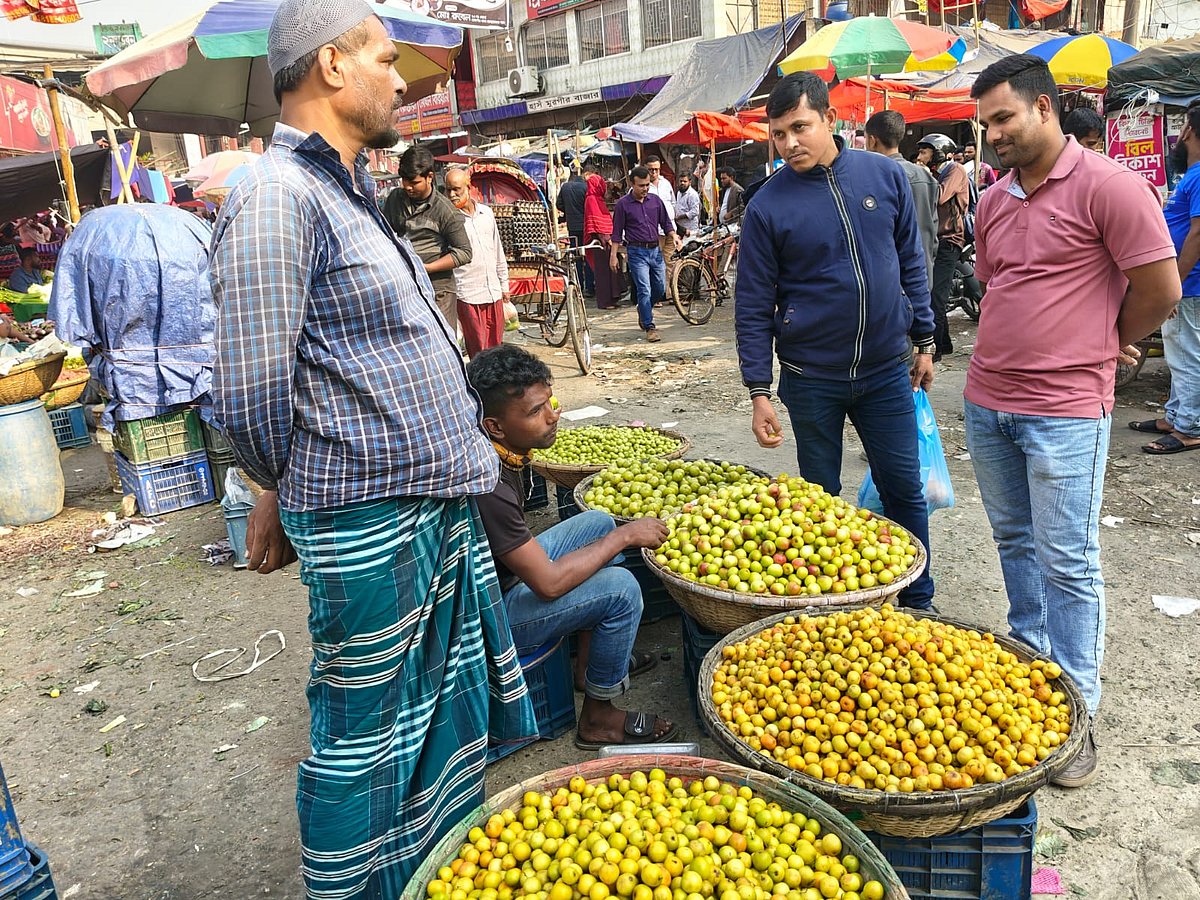 মৌসুমের শুরুতেই রাজধানীর কারওয়ান বাজারসহ বিভিন্ন বাজারে এখন হরেক রকমের কুল-বরইয়ের সমাহার দেখা যাচ্ছে