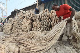 বাংলার ব্র্যান্ডিংয়ে সোনালি আঁশ: যেতে হবে বহুদূর