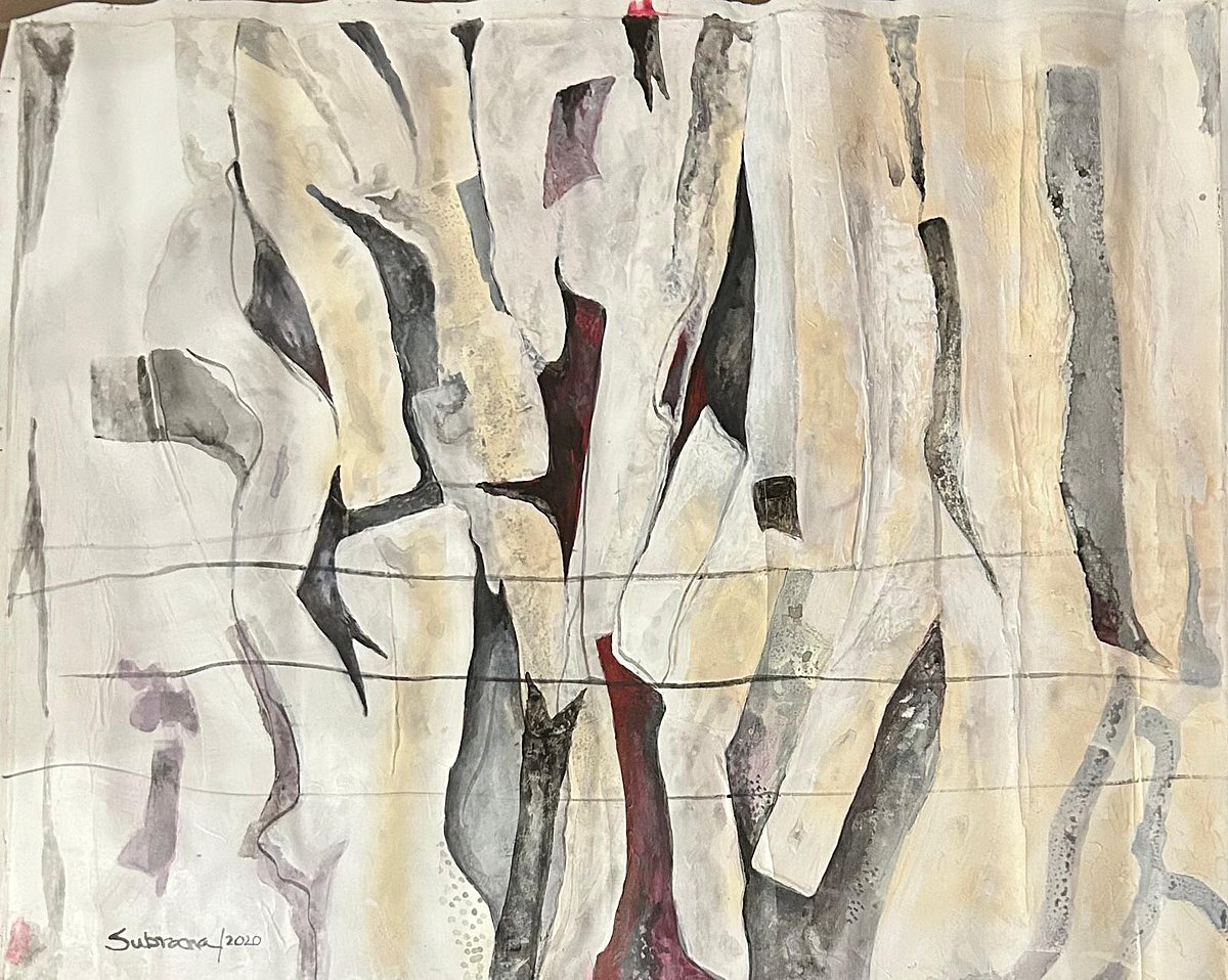 শামীম সুব্রানার শিল্পকর্ম