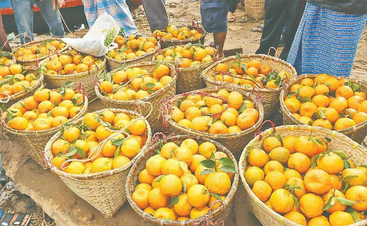 পাহাড়ে কমলার ফলন প্রতিবছরই ভালো হয়। বাগানে উৎপাদিত কমলা সম্প্রতি রাঙামাটির বনরূপা সমতা ঘাটে বিক্রি করতে আনা হয়