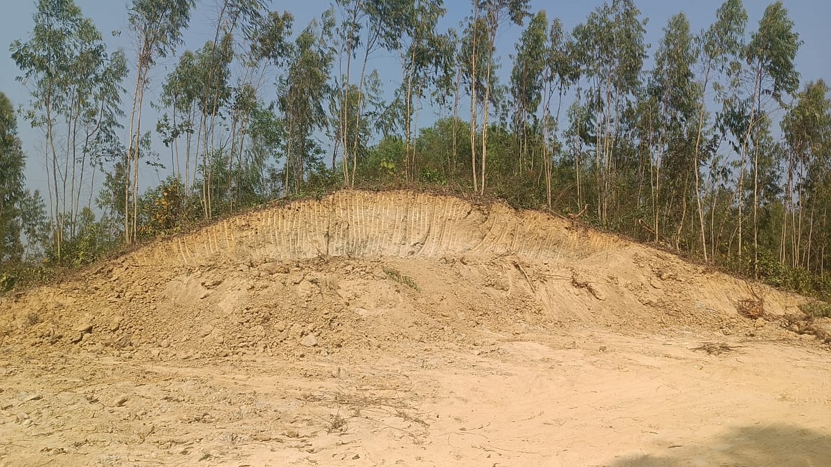 রাতের আঁধারে কাটা হয়েছে সরকারি টিলা। গত শনিবার চট্টগ্রামের লোহাগাড়া উপজেলার পুটিবিলা ইউনিয়নে