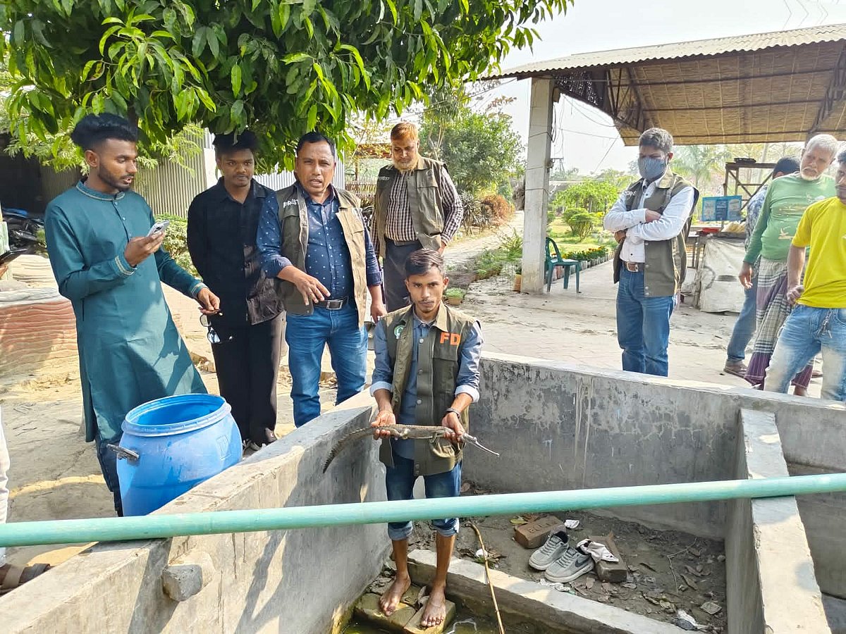 কুষ্টিয়ায় পার্ক থেকে বিলুপ্তপ্রায় ঘড়িয়াল উদ্ধার