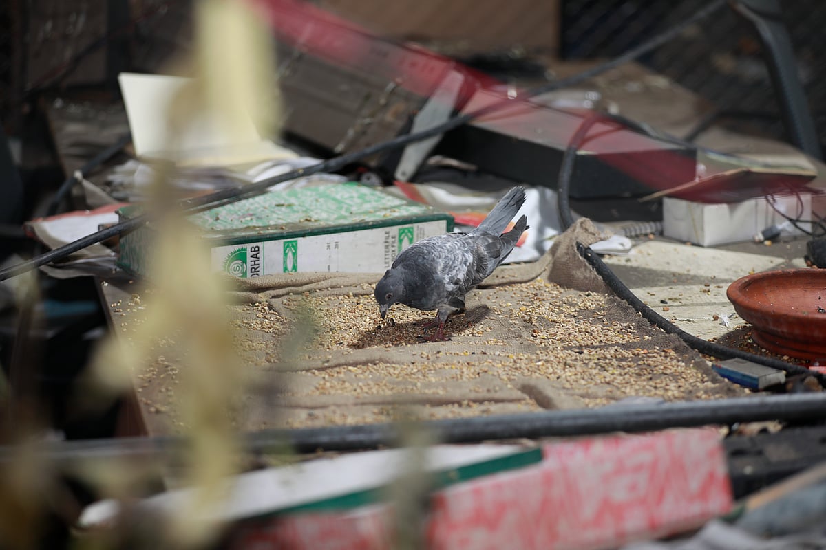 প্রথম আলোর পুড়ে যাওয়া ভবনে শিল্পকর্ম প্রদর্শনী ‘আলো’