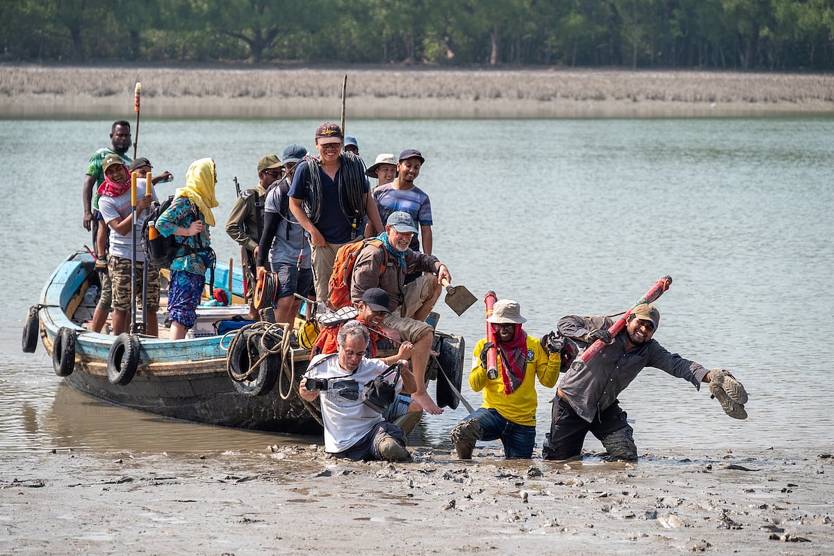 সুন্দরবন অঞ্চলে গবেষকেরা