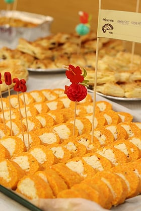 পোল্যান্ডে বাংলাদেশি কমিউনিটির উদ্যোগে বসন্ত বরণ ও পিঠা উৎসব