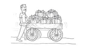 তরমুজ বিক্রির ২৫০ টাকা গেল কোথায়