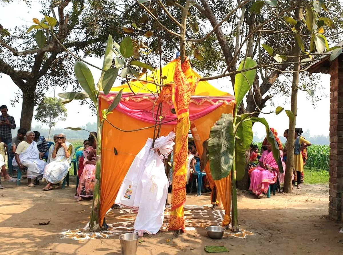 বট ও পাকুড়গাছের বিয়ে। আজ শুক্রবার দুপুরে ঠাকুরগাঁও সদর উপজেলার চিলারং ইউনিয়নের কিসমত পাহাড়ভাঙ্গা গ্রামে