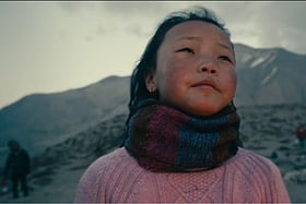 নাউনেস এশিয়ায় ‘দ্য সাইলেন্ট ইকো’