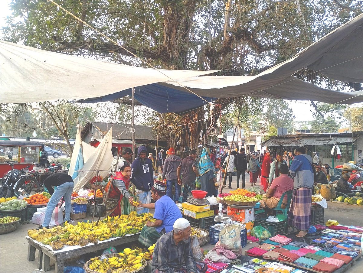 বরিশালের গৌরনদী উপজেলার প্রত্যন্ত গ্রামে অশ্বত্থগাছের ছায়ায় শতবর্ষী বিল্বগ্রাম হাটে নানা পণ্যের পসরা নিয়ে বসেছেন ভাসমান দোকানিরা। সম্প্রতি তোলা