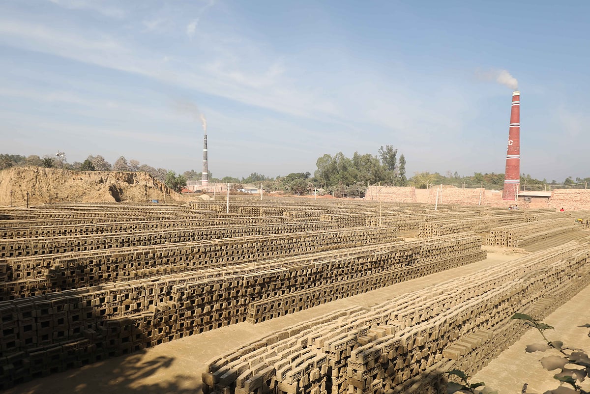 ধোঁয়া–ধুলায় ফসল ও ফলের ক্ষতি