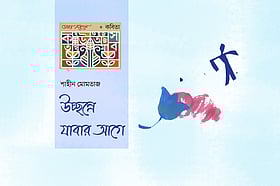 উচ্ছন্নে যাবার আগে