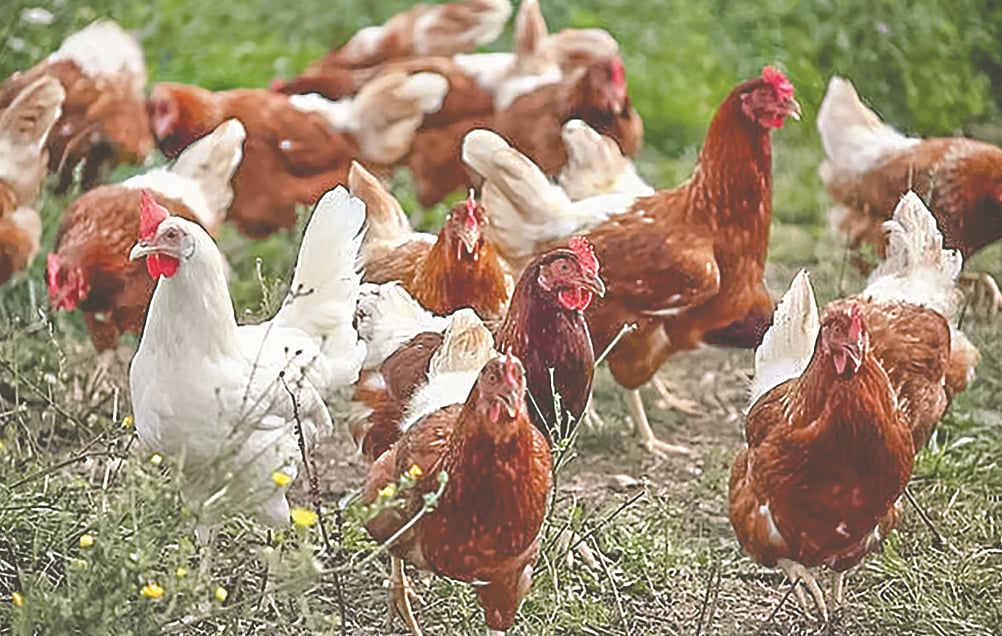 রয়টার্স প্রতীকী ছবি