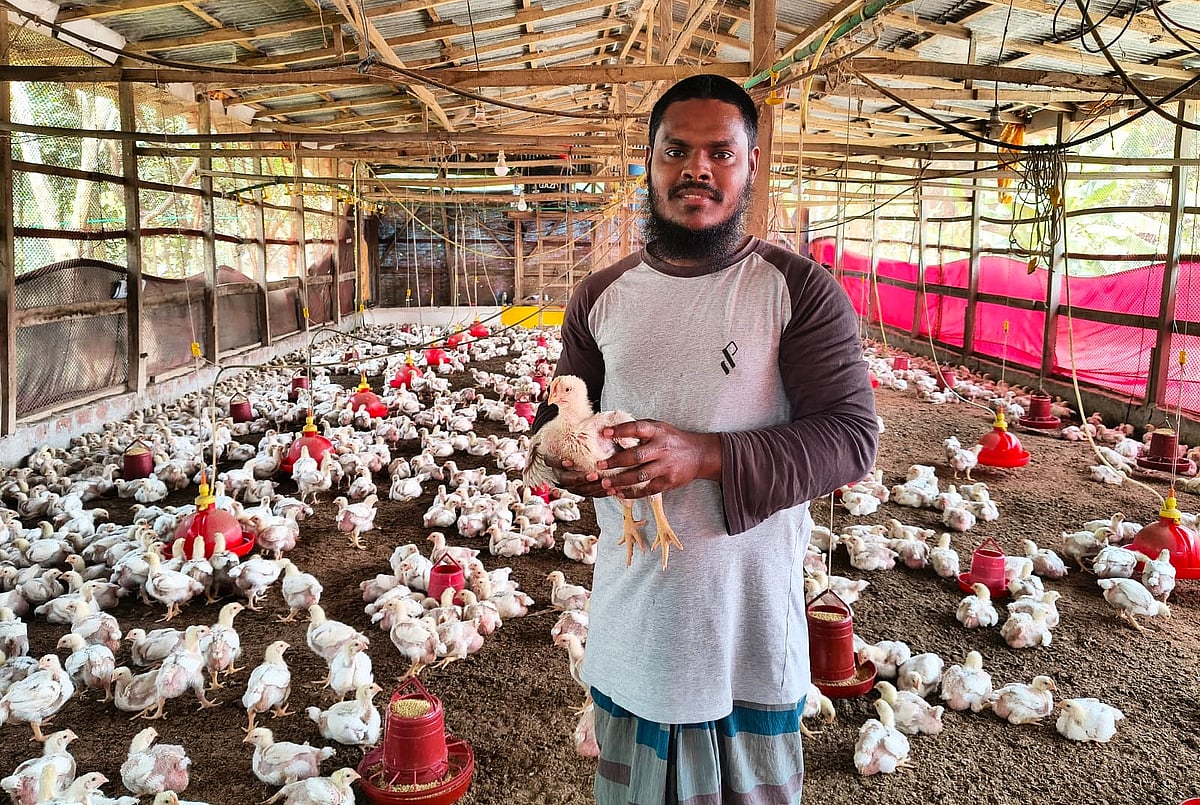 নিজের খামারে অ্যান্টিবায়োটিক ছাড়াই ব্রয়লার মুরগি পালন করছেন শাওন সরদার। বরিশাল সদর উপজেলার কর্ণকাঠি গ্রামে