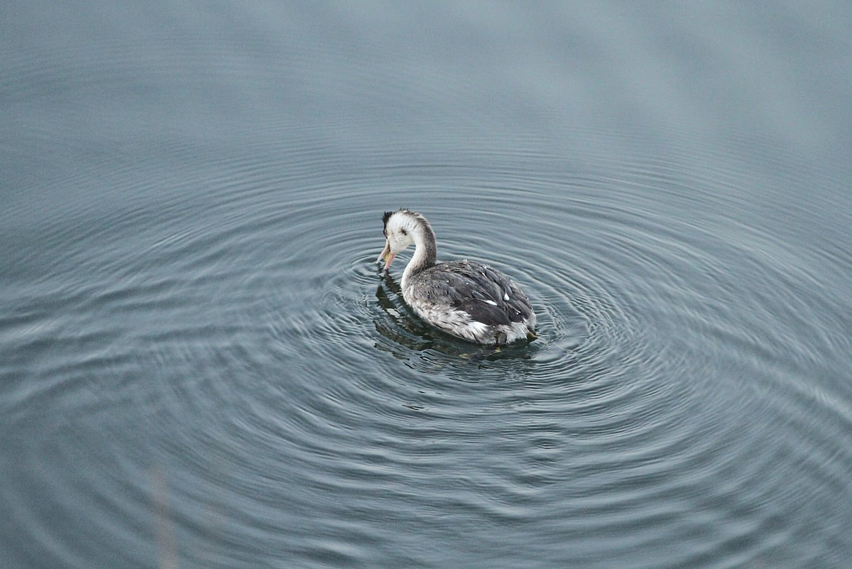 একঝলক (২৪ ফেব্রুয়ারি ২০২৬)