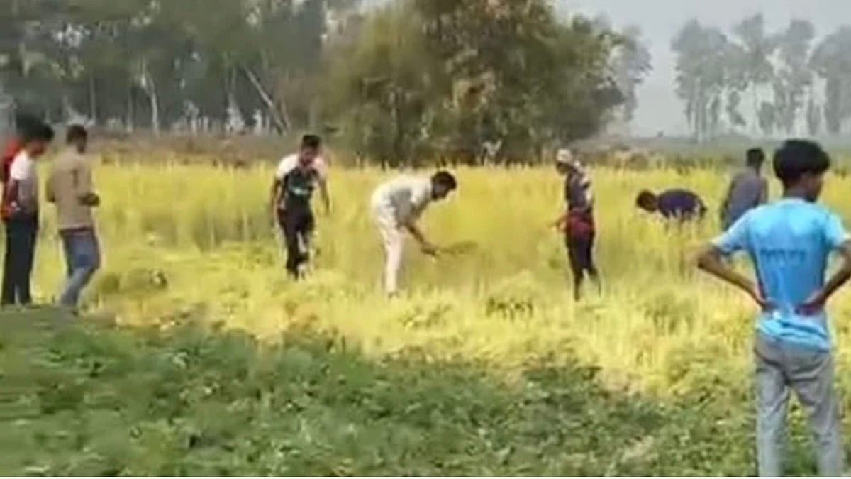 জয়পুরহাটের কালাই পৌর শহরের পাঁচশিরা বাজারের বাসিন্দা কৃষক মোমিন ইসলামের খেত থেকে  জোরপূর্বক  সরিষা কেটে নেওয়া নেওয়া হয়