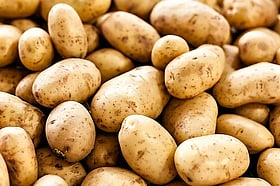 ১০০ টাকায় ৬‍ কেজি আলু, হিসাব মেলাতে হিমশিম কৃষক