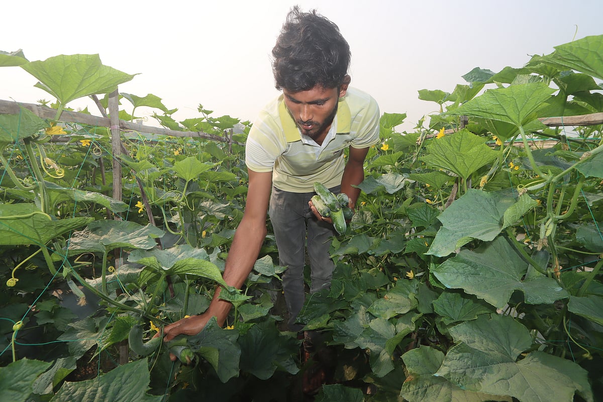 একঝলক (২৫ ফেব্রুয়ারি ২০২৬)