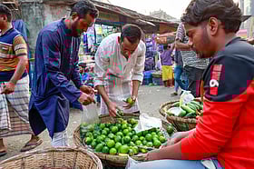 বাজারে এখনো চড়া লেবু, শসা, বেগুনের দাম