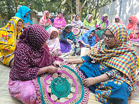 নারীদের আয়ের পথ দেখিয়ে গ্রামের চিত্র বদলে দিলেন দিলারা