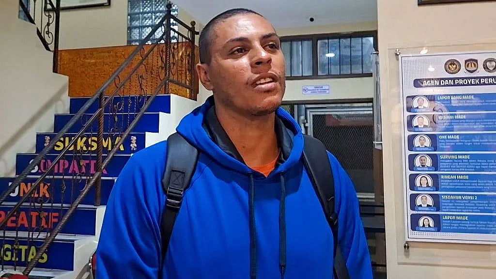 টমি শেফার