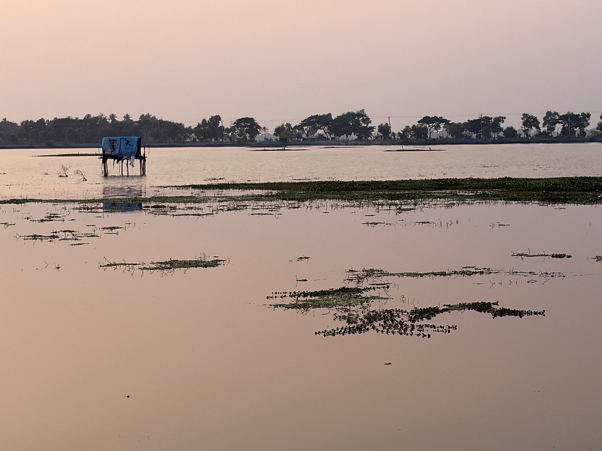 পানিতে তলিয়ে আছে বিল কেদারিয়া। জলাবদ্ধতার কারণে বিলে বোরো ধান হয়নি। গত মঙ্গলবার যশোরের অভয়নগর উপজেলার বেদভিটা এলাকায়